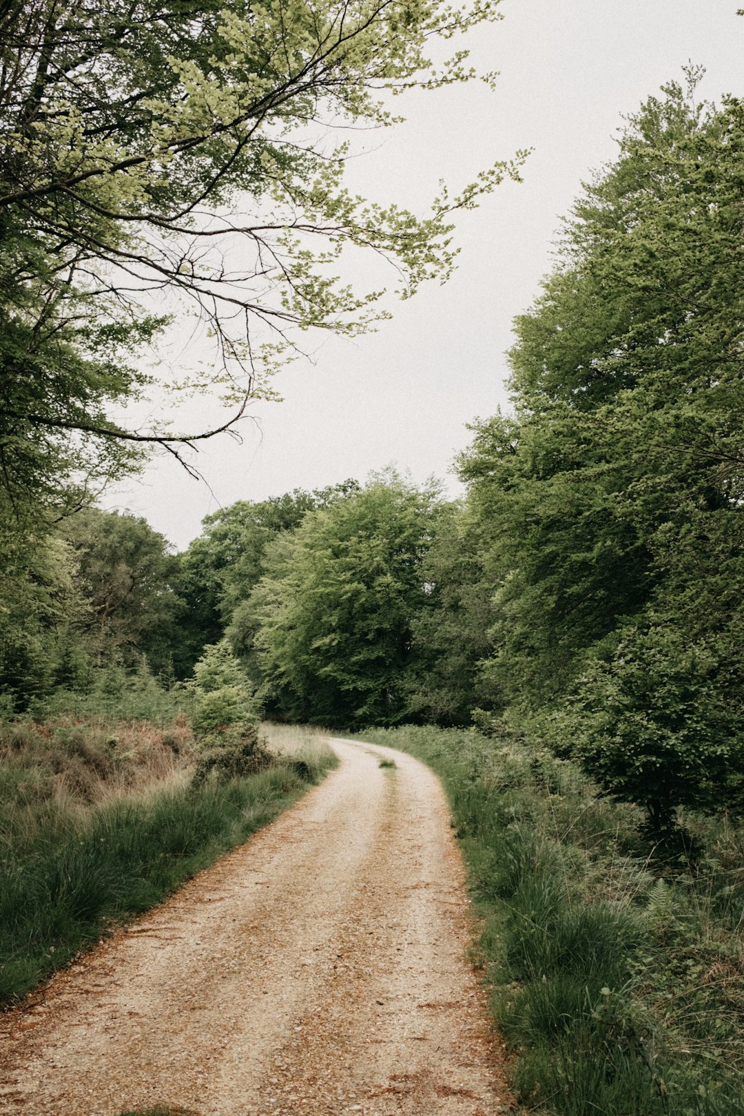 Team walk